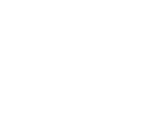 Industrial San Sebastián S.A. de C.V. Cintas y cordones